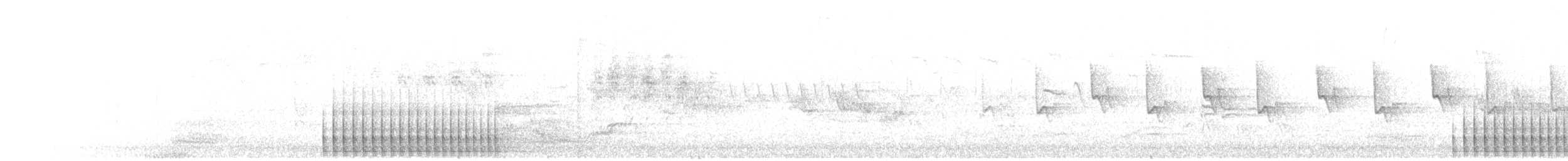 strakapoud velký [skupina major] - ML637254647