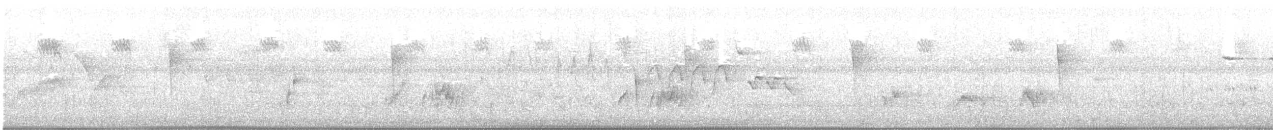 Willow Flycatcher (Southwestern) - ML637256900