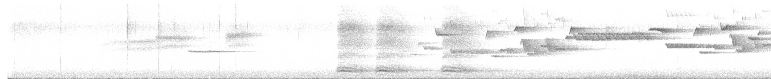 フユミソサザイ - ML637258775
