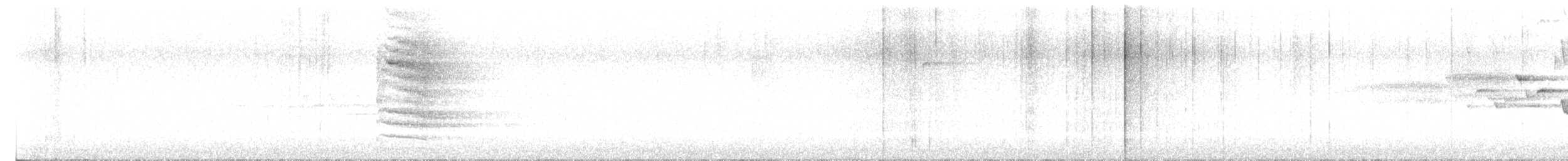フユミソサザイ - ML637258779