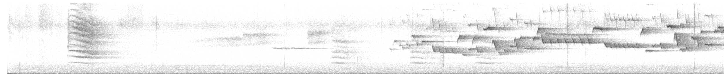 フユミソサザイ - ML637258781
