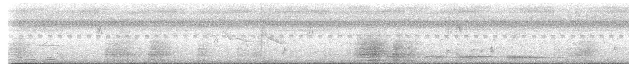 Malaienhornvogel - ML637259470