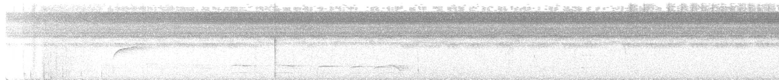 White-browed Purpletuft - ML637259824