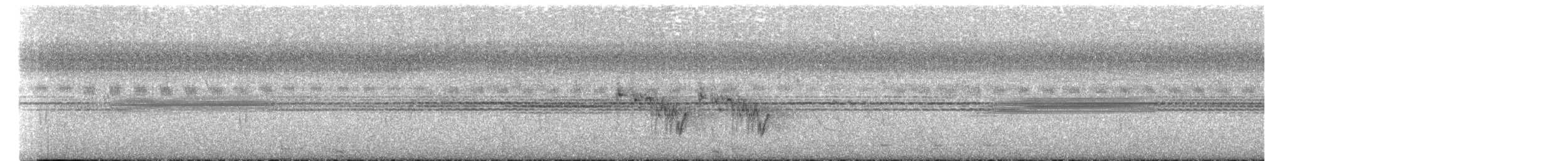 Runzelhornvogel - ML637260196