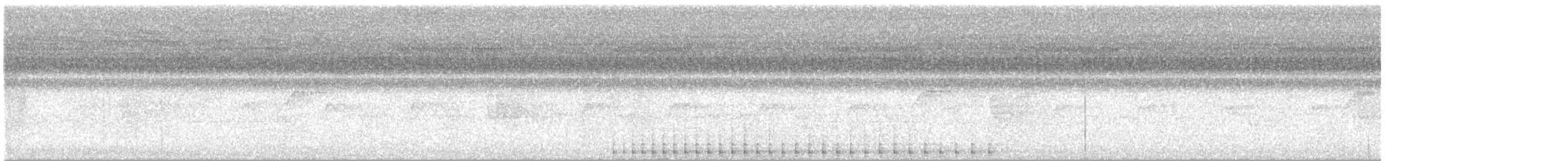 datlovití sp. - ML637260980