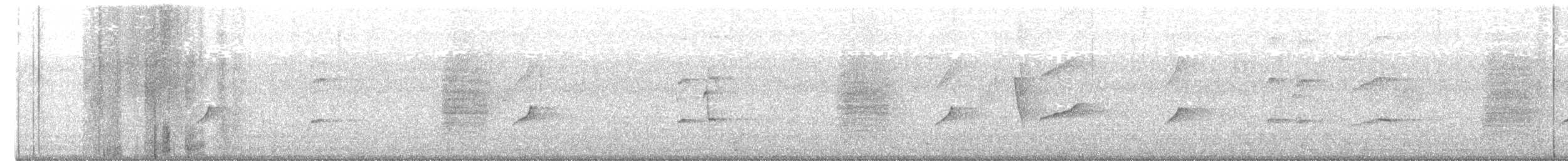 hårdrongo - ML637261803