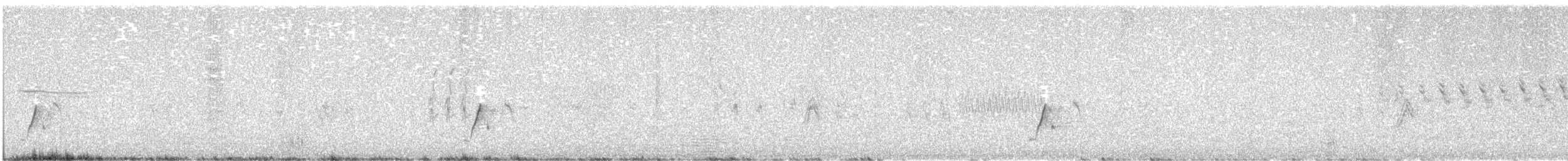 New Zealand Fernbird - ML637262921