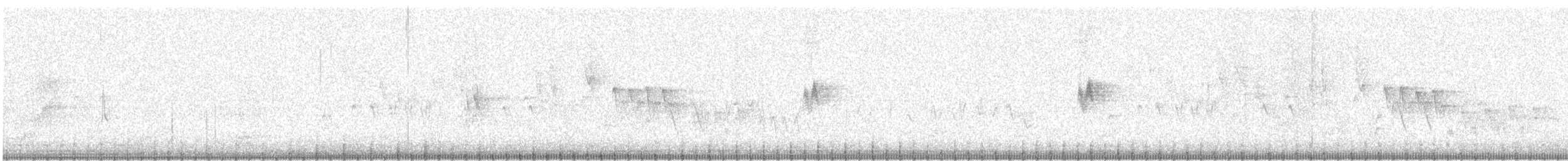 Western/Eastern Wood-Pewee - ML637264693