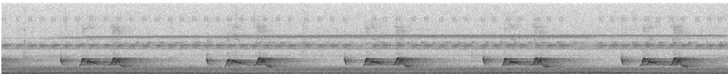 Chuck-will's-widow - ML637265815