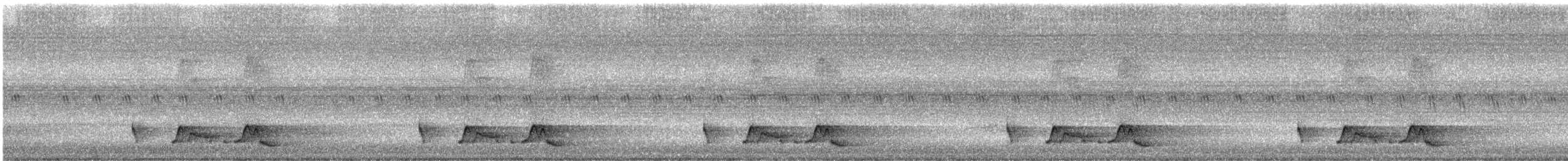 Chuck-will's-widow - ML637265816