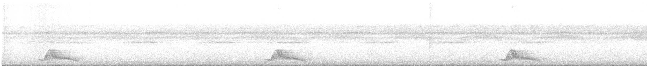 Common Pauraque - ML637266646