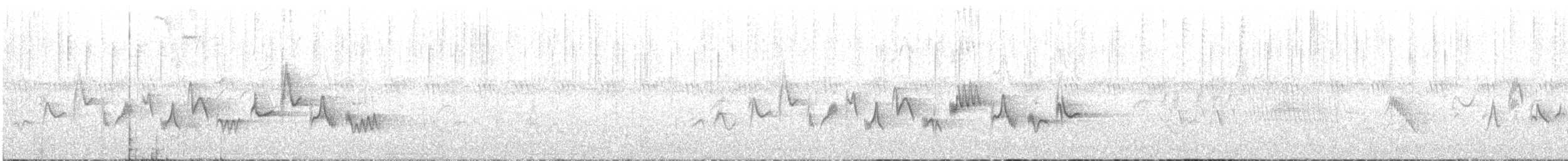 Western Warbling Vireo - ML637267173