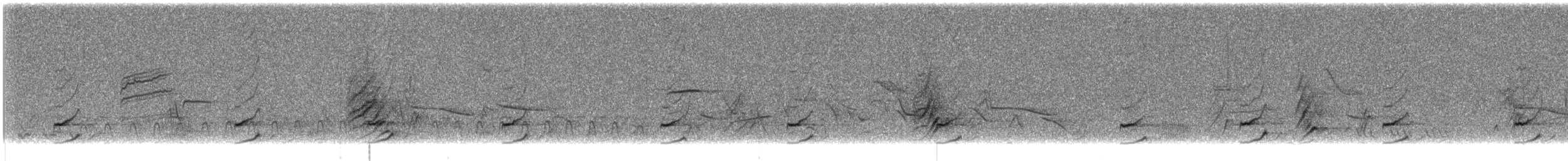 Phainopepla - ML637267656
