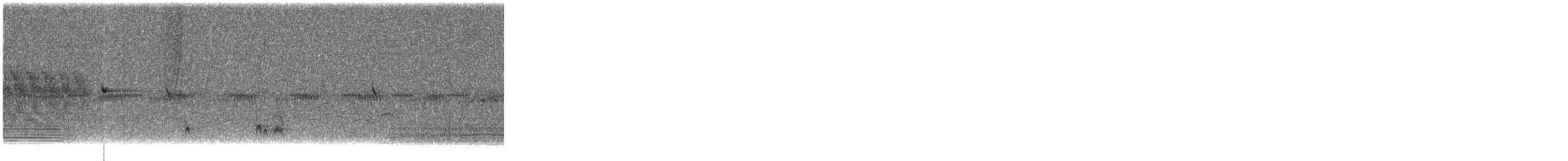 blektyrann - ML637267667