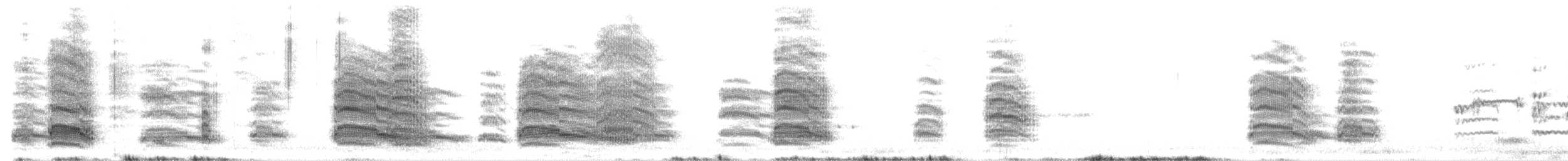 Brown-hooded Gull - ML637269185