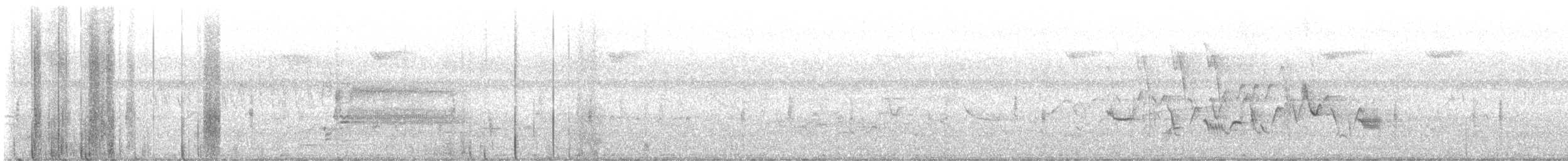 Gartentrupial - ML637270404