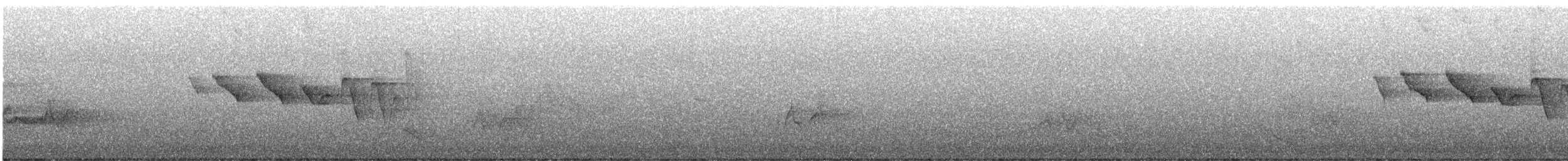 Louisiana Waterthrush - ML637270477