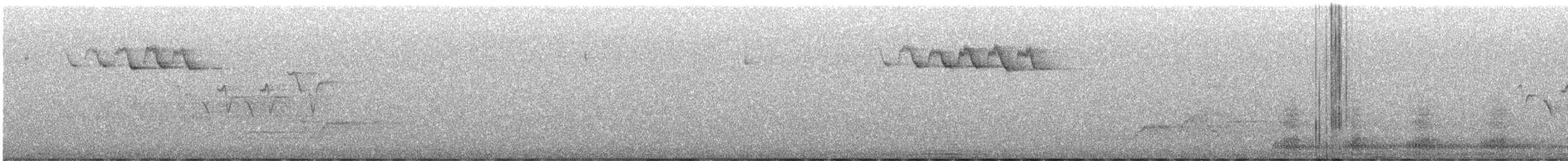 Bay-breasted Warbler - ML637270665