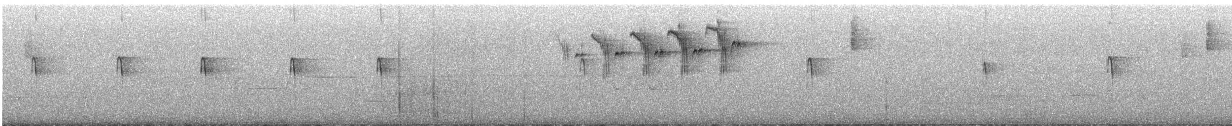 Black-throated Blue Warbler - ML637270686