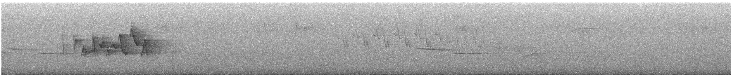 Canada Warbler - ML637270781