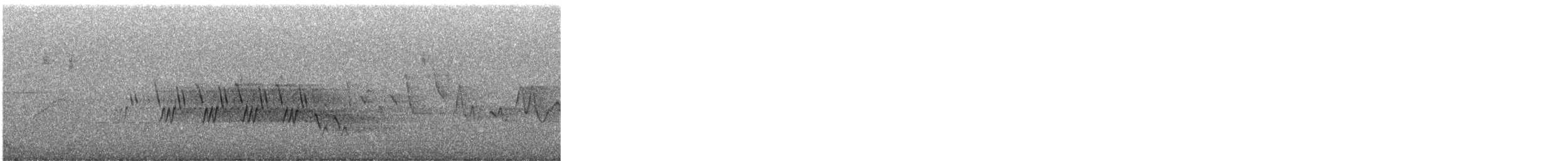 Mourning Warbler - ML637270784