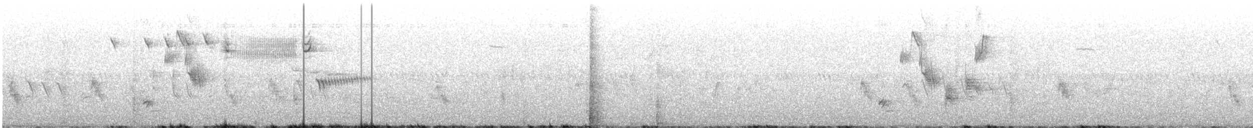 Savannah Sparrow - ML637270849