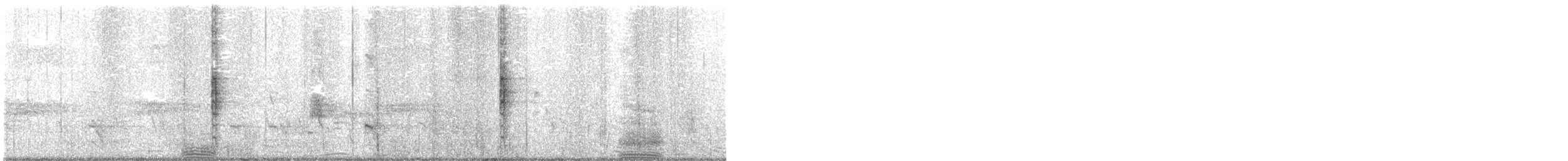 White Ibis - ML637273351