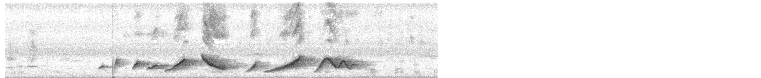 Grammatoptile strié - ML637273417