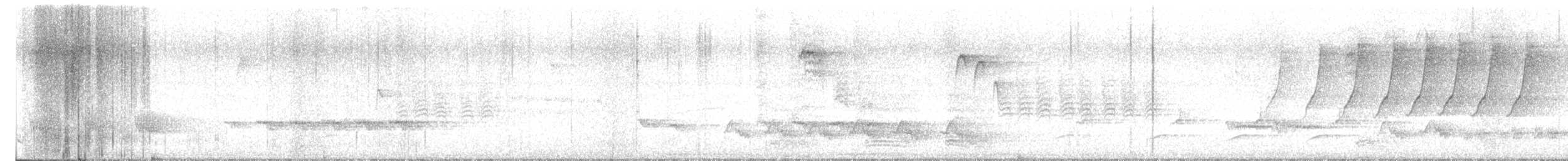 Black-and-white Warbler - ML637276674