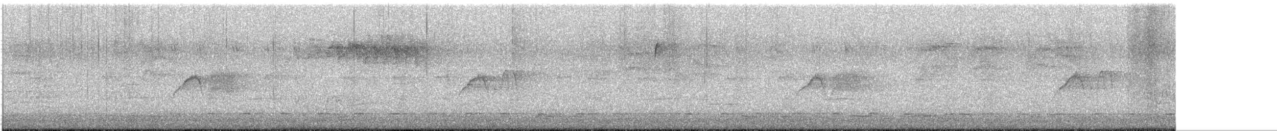 Moucherolle phébi - ML637278692