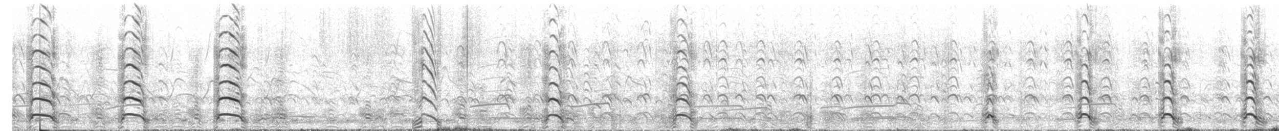 Western Gull - ML637279530