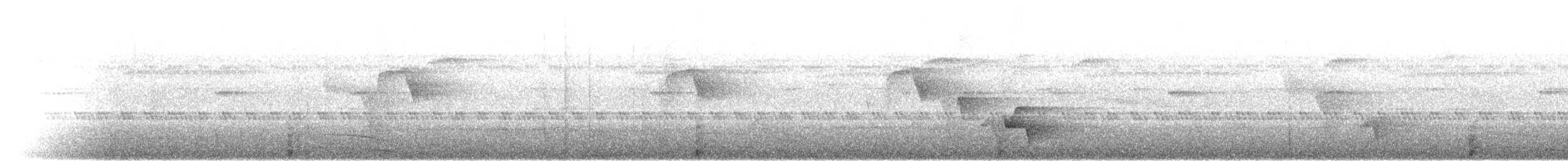 Blaulappenhokko - ML637279674