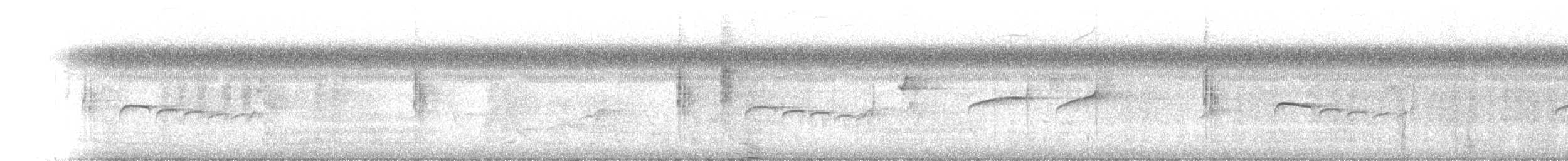 Brown-capped Tyrannulet - ML637279831
