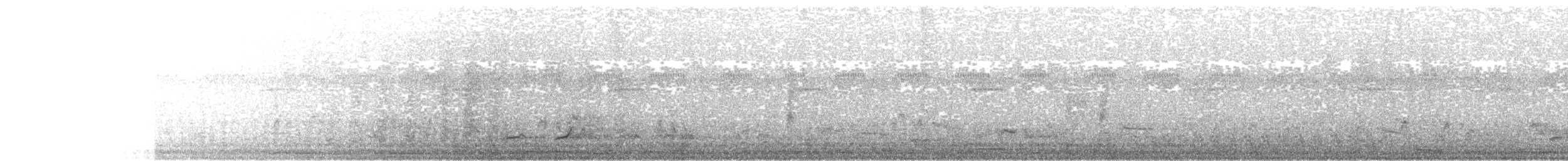 křepel běloprsý - ML637280431