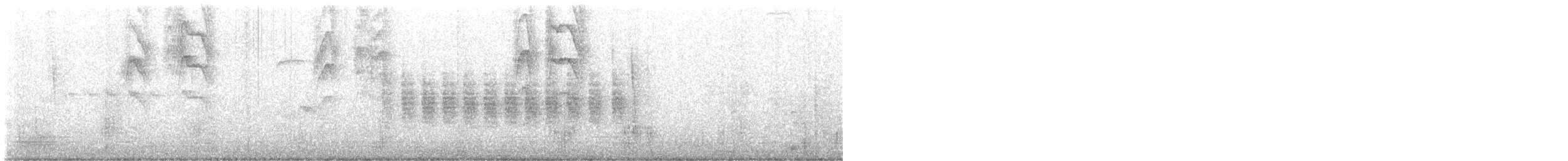 Black-tailed Gnatcatcher - ML637282028