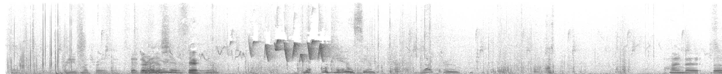 Connecticut Warbler - ML637282535