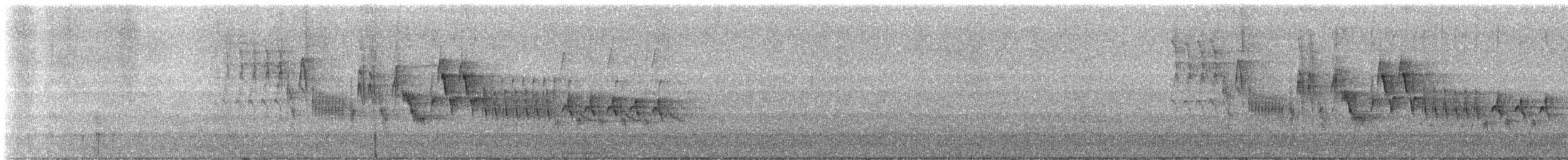 Northern House Wren - ML637284397