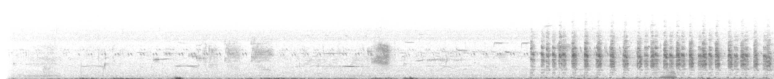 Ridgway's Rail - ML637285318