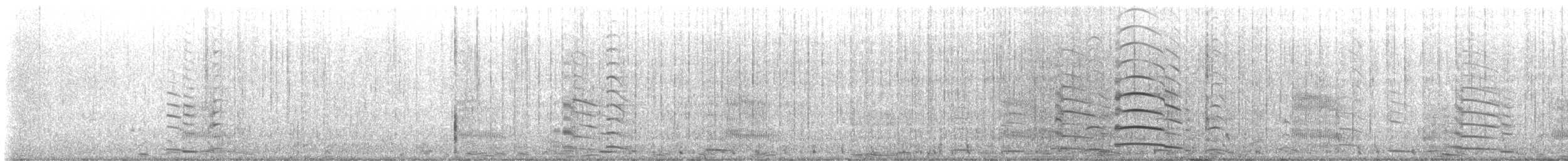 Black Swan - ML637287208
