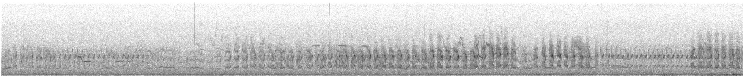 Semipalmated Sandpiper - ML637287511