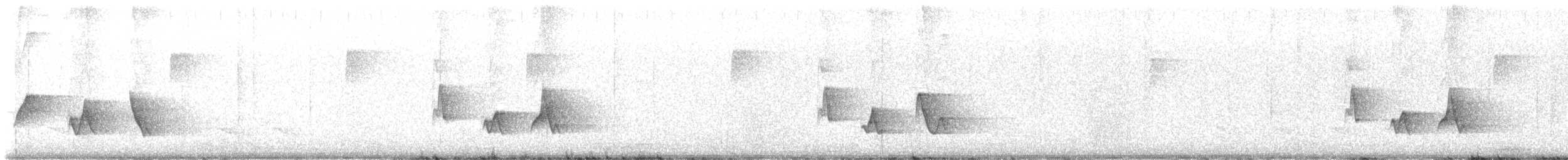 Black-whiskered Vireo - ML637287974