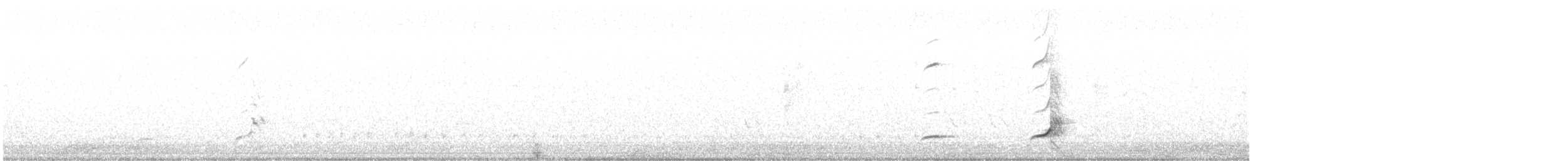 Northern Bobwhite - ML637288963