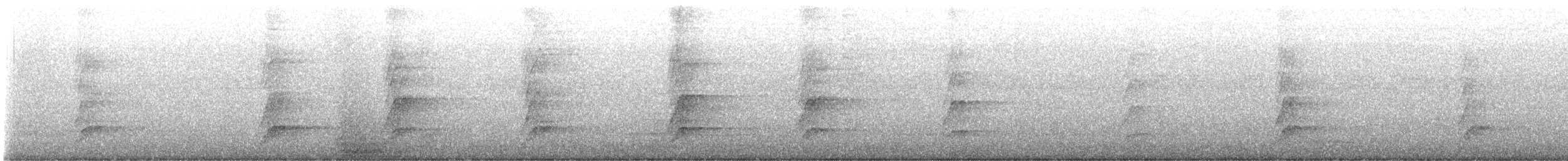 Méliphage à oreillons bleus - ML637289716
