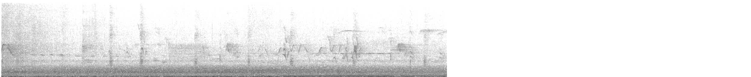 Гракл пурпуровошиїй - ML637290527