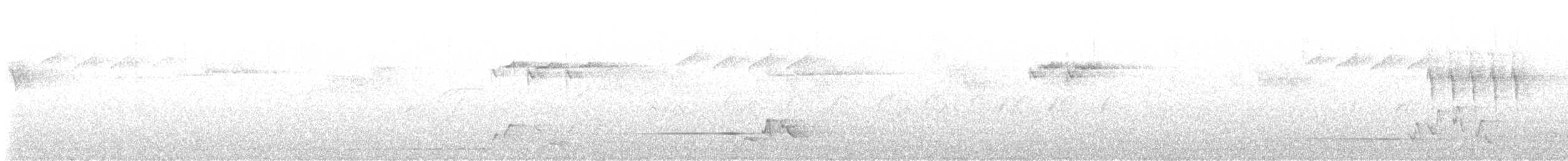 灰鶺鴒 - ML637291437