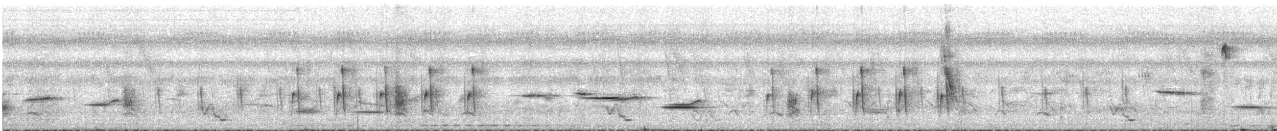 hvitvingepløsøye - ML637291568