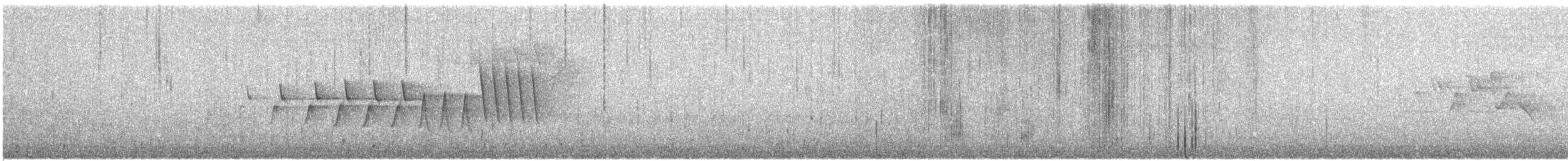 Northern Waterthrush - ML637291790