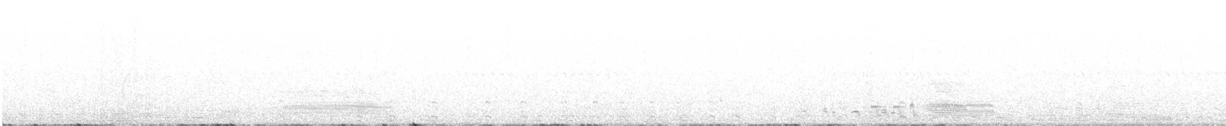 Falaropo Tricolor - ML637292017