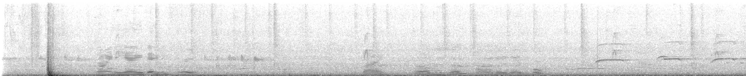 rapace sp. - ML637292175