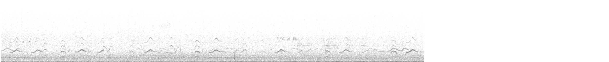 Willet (Western) - ML637292349